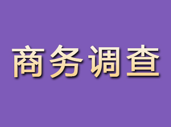 肥城商务调查